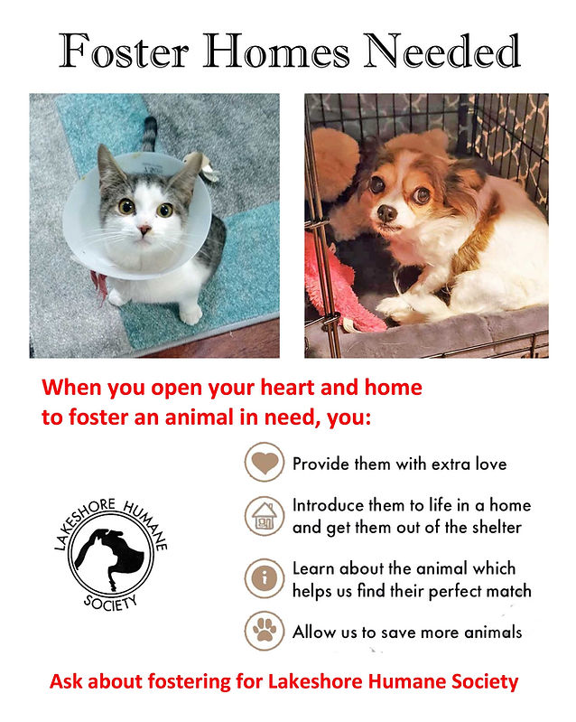 FOSTER Lakeshore Humane